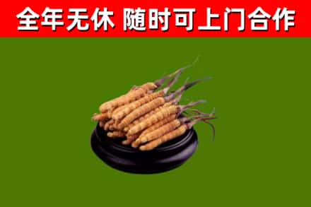 邢台市烟酒回收冬虫夏草.jpg
